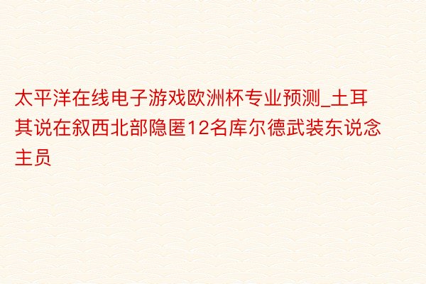 太平洋在线电子游戏欧洲杯专业预测_土耳其说在叙西北部隐匿12名库尔德武装东说念主员