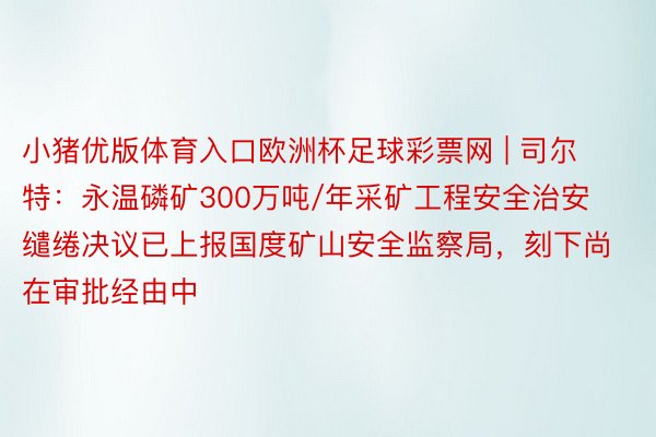 小猪优版体育入口欧洲杯足球彩票网 | 司尔特：永温磷矿300万吨/年采矿工程安全治安缱绻决议已上报国度矿山安全监察局，刻下尚在审批经由中