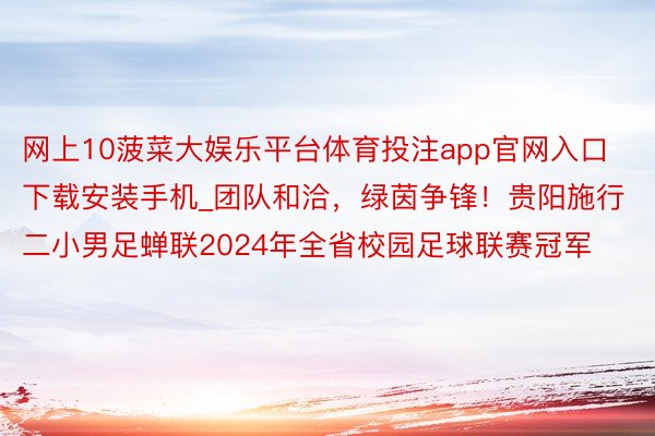 网上10菠菜大娱乐平台体育投注app官网入口下载安装手机_团队和洽，绿茵争锋！贵阳施行二小男足蝉联2024年全省校园足球联赛冠军