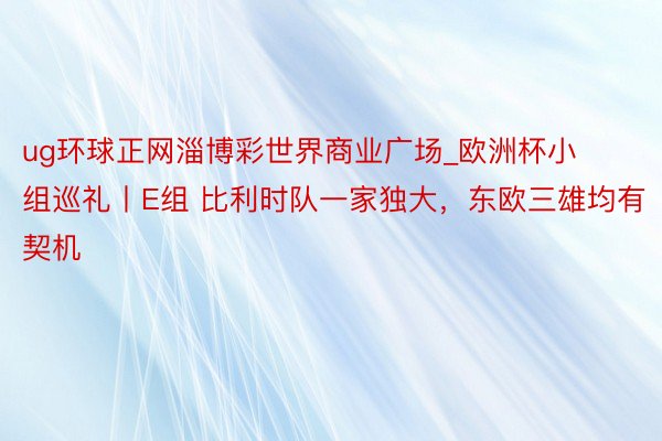 ug环球正网淄博彩世界商业广场_欧洲杯小组巡礼丨E组 比利时队一家独大，东欧三雄均有契机