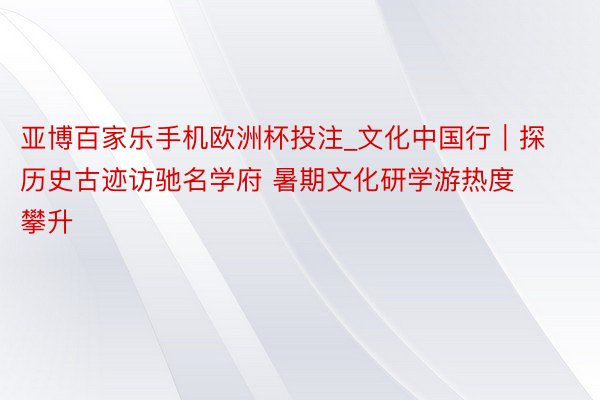 亚博百家乐手机欧洲杯投注_文化中国行｜探历史古迹访驰名学府 暑期文化研学游热度攀升