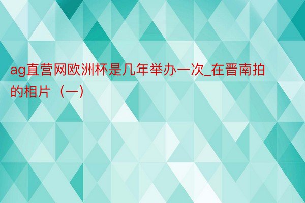 ag直营网欧洲杯是几年举办一次_在晋南拍的相片（一）