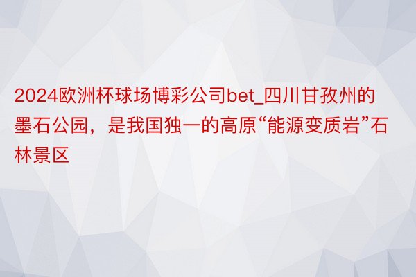 2024欧洲杯球场博彩公司bet_四川甘孜州的墨石公园，是我国独一的高原“能源变质岩”石林景区